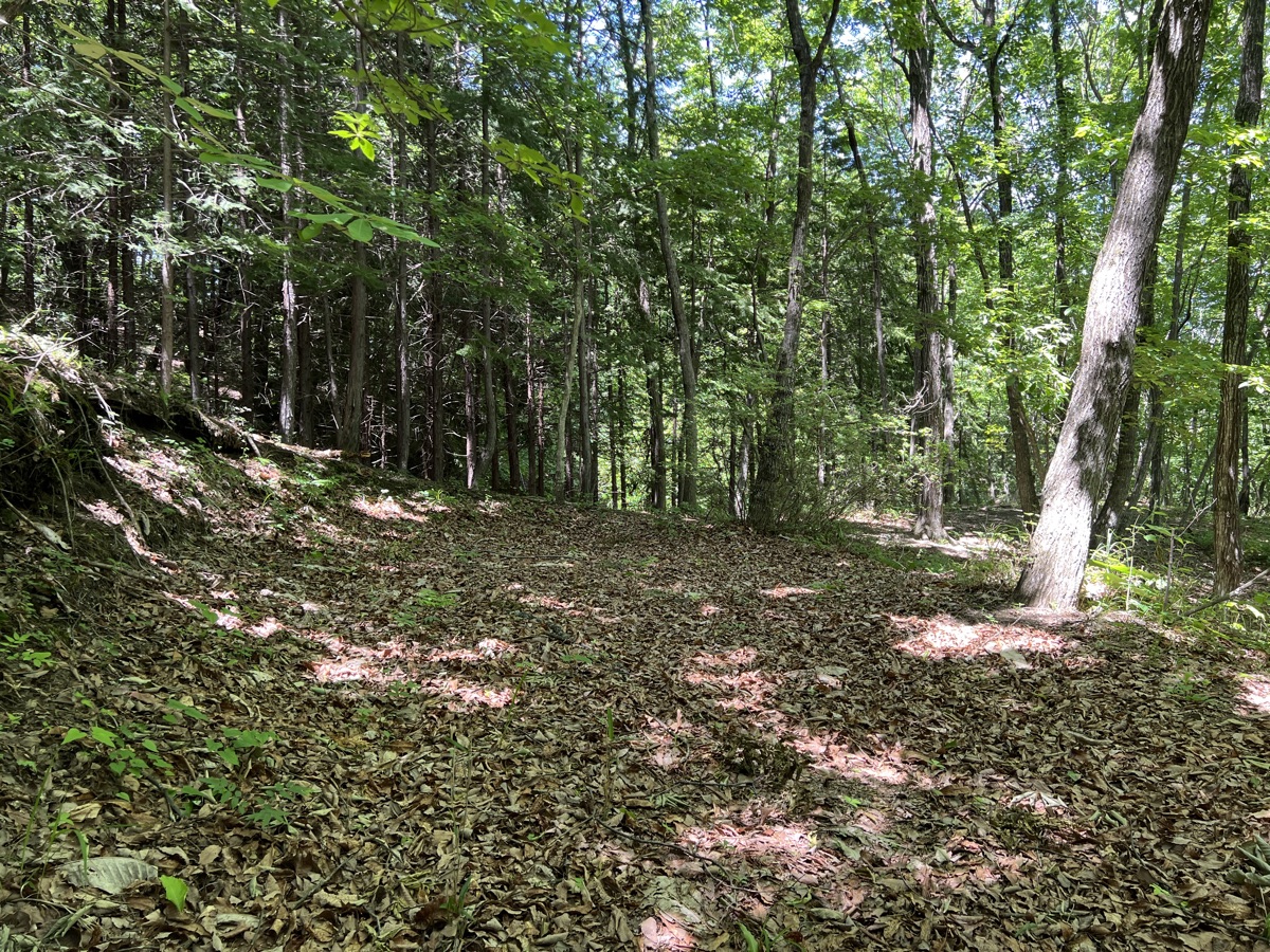 テントサイト 3m × 5m