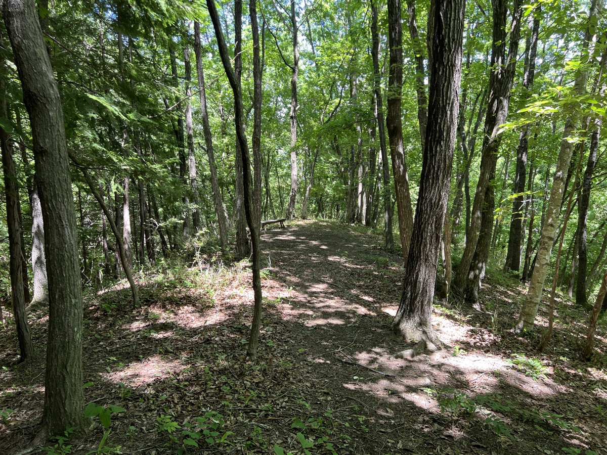 テントサイト 6m × 3.2m